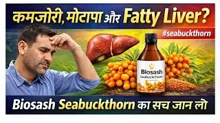 कमजोरी,मोटापा और Fatty Liver ? Biosash Seabuckthorn का सच जान लो #seabuckthorn  #healthyliving