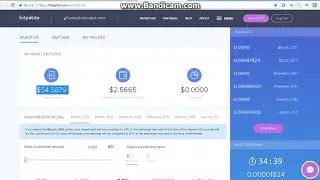 Bitpetite