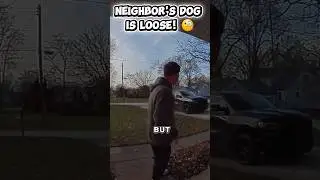 The neighbor&rsquo;s dog has WHAT name?! 💀🐕 #shorts