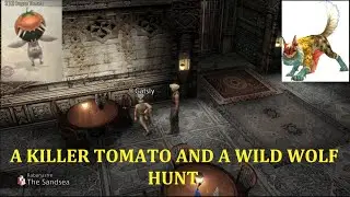 FINAL FANTASY XII THE ZODIAC AGE NEW GAME MINUS EP.1 (A KILER TOMATO AND A WILD WOLF HUNT)