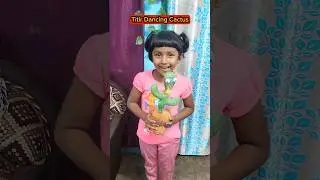 Titir Dancing💃Cactus🌵🤣 #shorts #funnyvideo #comedy #trishikarimpashorts