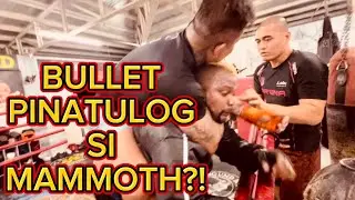 @BossBulletAngBumanggaGiba PINATULOG SI MAMMOTH?!