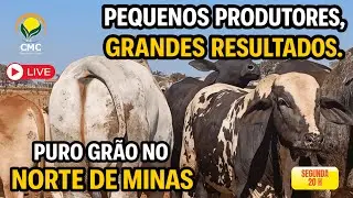 Pequenos Produtores, Grandes Resultados. Puro Gr&atilde;o no Norte de Minas