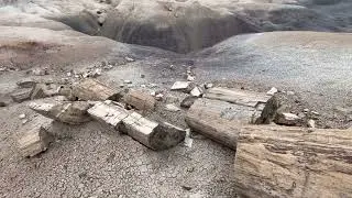 Historic Blue Forest Trail - Petrified Forest National Park - Chambers, Arizona - 5/18/2025