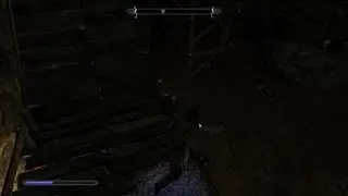Skyrim serana LAUNCHED this guy