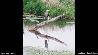 Loess Hills scenic wildlife drive