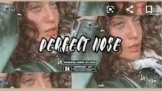 Perfect Nose﹁&rdquo; (Velmental Audio RE-UPLOAD)