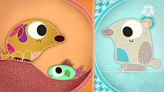 Patchwork Pals: The Fish (English Only) by Film Bilder