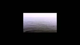 8. i61 - FRESH SOFT ft.Boulevard Depo x Pharaoh x Basic Boy (Prod.by White Punk)
