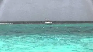 Canon XA10: Cayman Trench