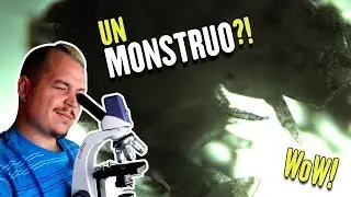 ENCUENTRO UN MONSTRUO BAJO EL MICROSCOPIO?! | Mundo Microsc&oacute;pico Ep.1