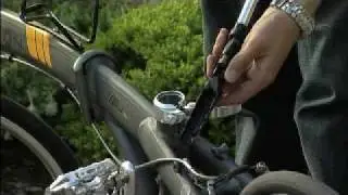2010 Biologic&trade; PostPump