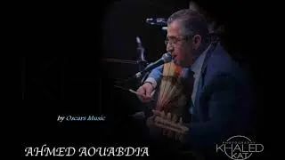 Ahmed Aouabdia - انقلابات زيدان