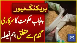 Punjab Government's Important Decision Regarding Government Wheat \ Breaking News | Dawn News
