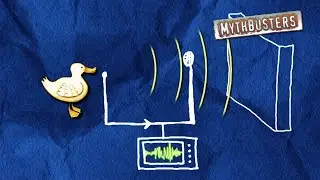 Does a Duck&rsquo;s Quack Echo? | MythBusters