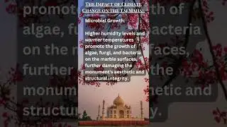 The Impact of Climate Change on the Taj Mahal #shorts #facts #climatechange #youtube #globalclimate
