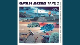 Ha&scaron;ka cihly (feat. Don Chain)