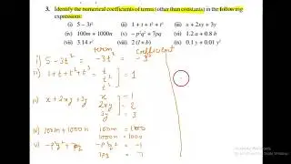Identify the numerical coefficients of terms (other than constants) in the following expressions.(i)