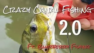 Crazy Canal Fishing 2.0 Ft. Blurberry Fishing