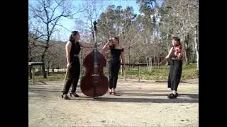 COVER de Terra. Musiqueiras