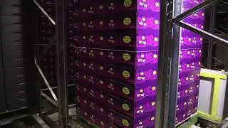 Viscon Logistics (short promo)