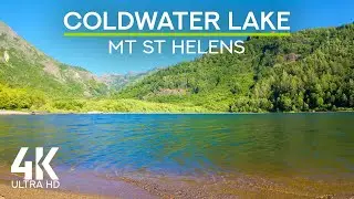 4K Calming Nature Sounds of an Alpine Lake | Summer Ambience at Coldwater Lake, Mount St. Helens
