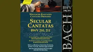 Schweigt stille, plaudert nicht, BWV 211, 
