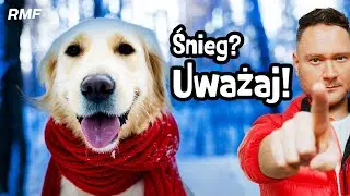 Nie popełniaj tych błędów zimą. JAK CHRONIĆ PSA PRZED MROZEM?