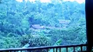 Tour of coffee plantation and burner
