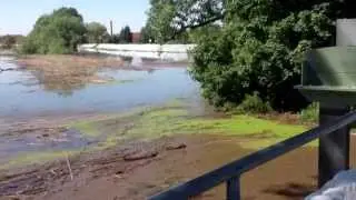 Hochwasser in Gerwisch 06.06.2013