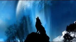 ARC - HOWL