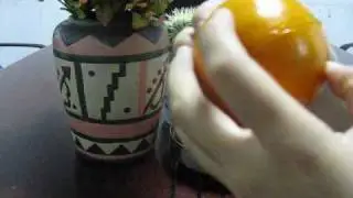 SuntekStore.com 2 x Plastic Orange Peeler Scaler Remover.flv