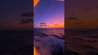 Chasing the sunset, one wave at a time 🌅🌊✨ #SunsetVibe #OceanLife #boatlife #viralshorts #explore