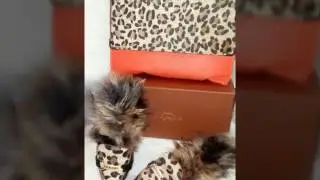 DIY GUCCI INSPIRED FUR SLIPPERS 🐝💋