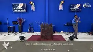 El costo del fruto - Pastor Jonathan Castro