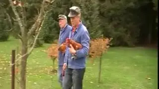 Der Maulwurf ist wieder da - Dorckey Dorck