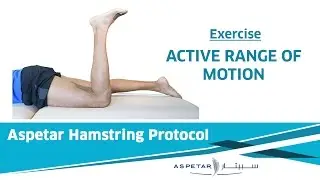 25. Exercises - Active Range Of Motion (ROM)