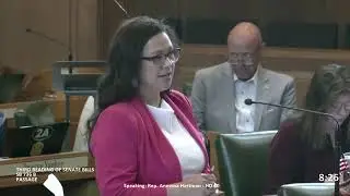 Updating Child Care Statutes in Foster Care, SB 736 | Rep. Hartman 2025