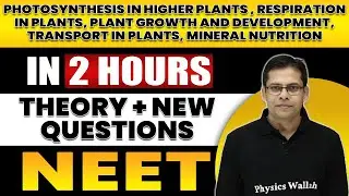 PLANT PHYSIOLOGY in 2 Hours | All Theory + Expected Questions for NEET