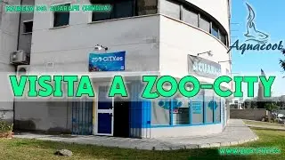 Visita a Zoo City | Tienda Acuariofilia