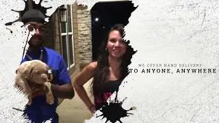 BEST DOGS ON EARTH | XXL PITBULLS OWNED WORLDWIDE | MANMADE KENNELS