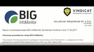 Zakres usług BIG InfoMonitor w systemie Vindicat.pl