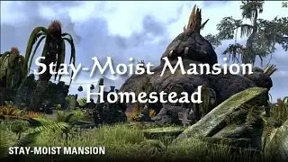 ESO Fashion - Stay-Moist Mansion Homestead