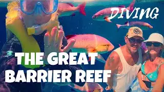 The Great Barrier Reef 