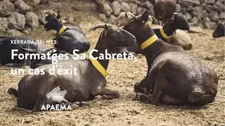 Xerrada del mes: Formatges Sa Cabreta, un cas d'èxit