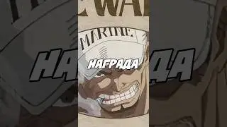 НАГРАДА ЗА ГОЛОВУ АКАИНУ РАСКРЫТА! #onepiece #аниме #animeshorts #anime #ванпис