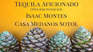 Open Bar Interview with Isaac Montes of Casa Medanos Sotol