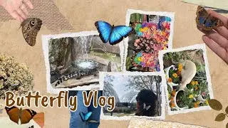 A Hidden Nature Gem in Abu Dhabi 🦋 Butterfly Garden Vlog| فلوج حديقة الفراشات 