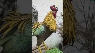 This place has the best whimsical garden decor
