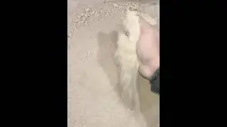 Dust Play